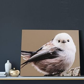 シマエナガ　アートフレーム シマエナガアートフレーム【ムラサキシキブと百人一首】 - メルカリ